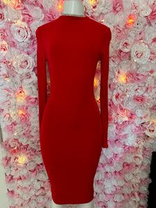 Shane Long sleeve Dress