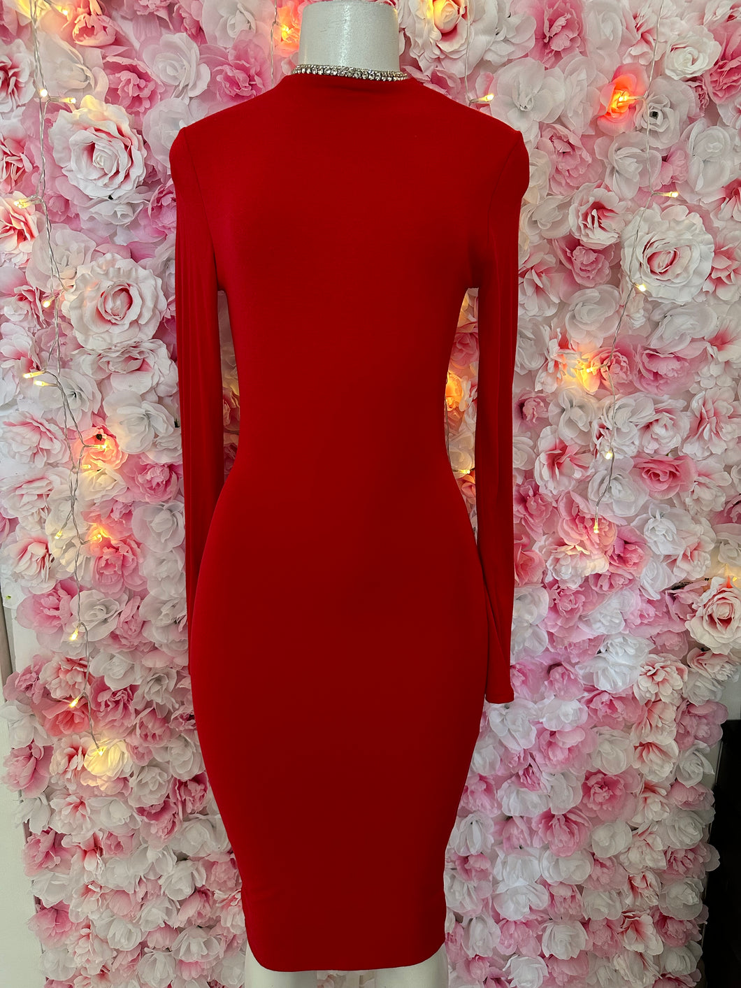 Shane Long sleeve Dress
