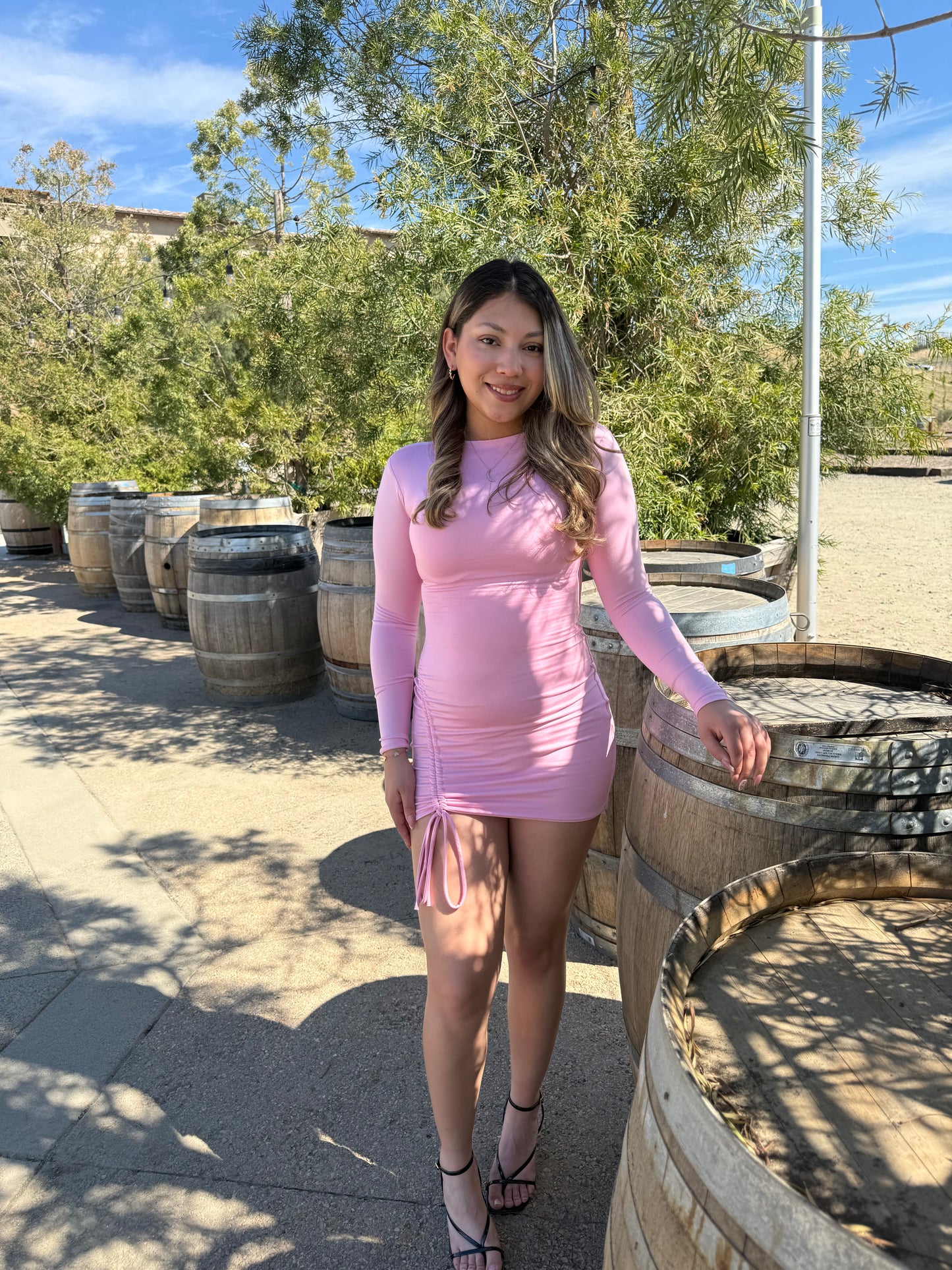 Long sleeve Dress